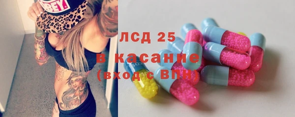 прущие грибы Гатчина