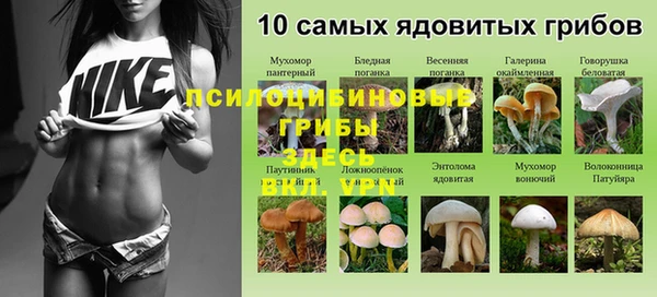 гидропоника Покровск