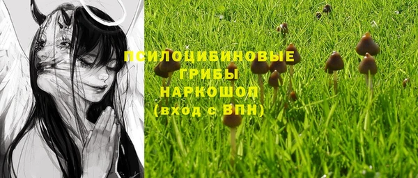 винт Приозерск