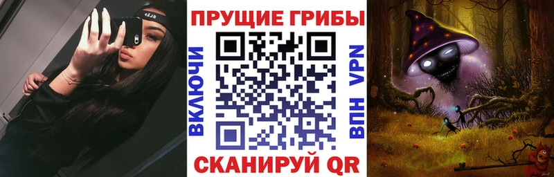 дарнет шоп  Камбарка  Псилоцибиновые грибы Psilocybe 